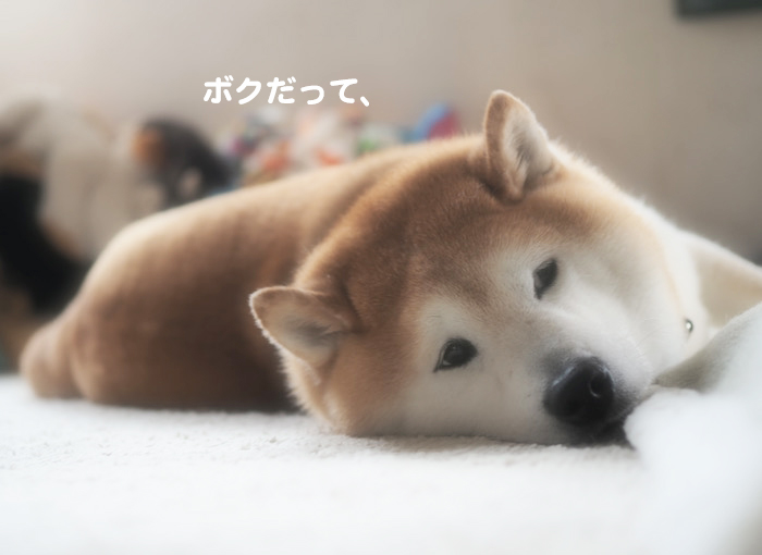 2日ブログ３