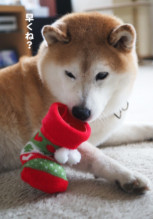 15日ブログ４