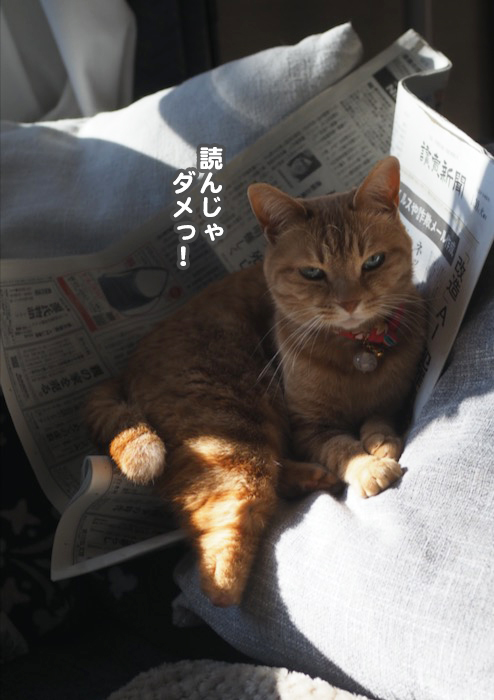30日ブログ１