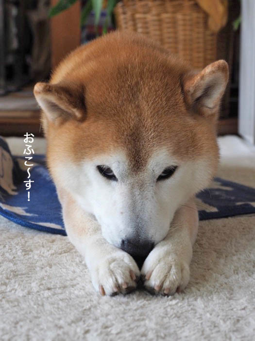 4日ブログ４