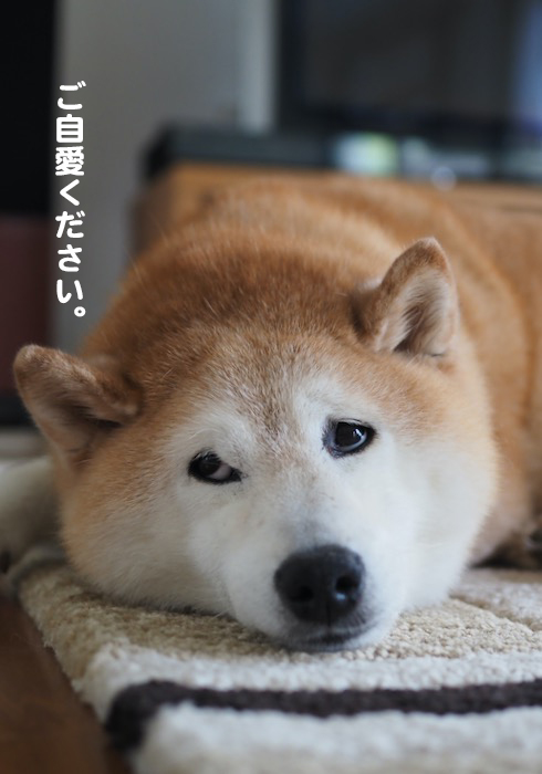 7日ブログ４