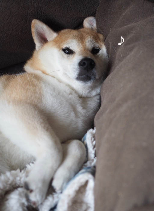 13日夜ブログ２
