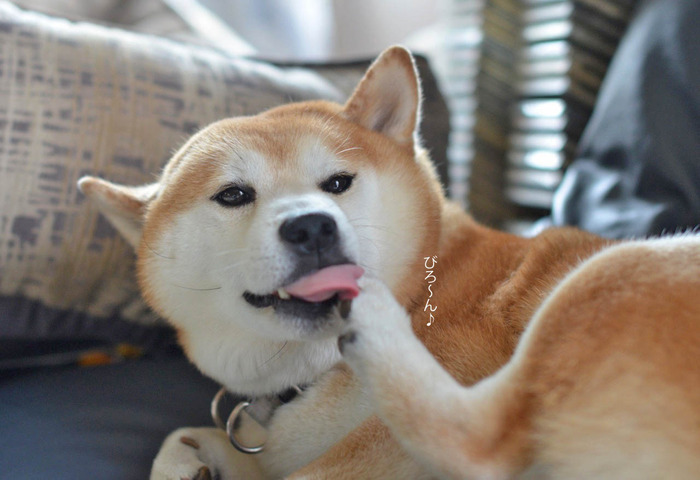12日ブログ4