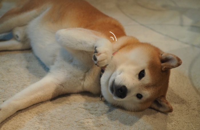 11日夜ブログ２