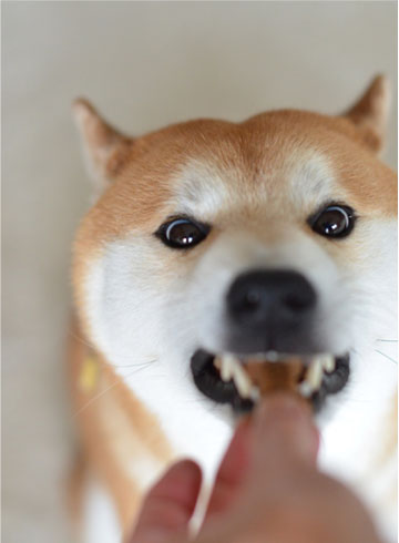 30日ブログ8.jpg