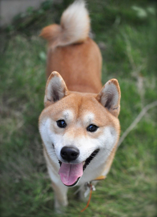 11日ブログ５
