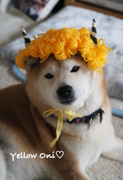 3日ブログ４