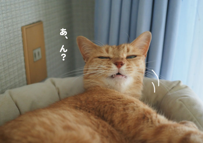 10日夕ブログ５