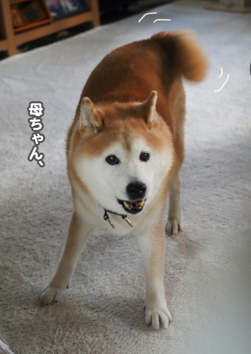 28日夕ブログ２