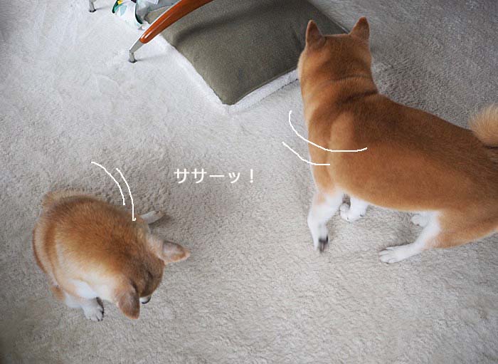 20日夜ブログ８