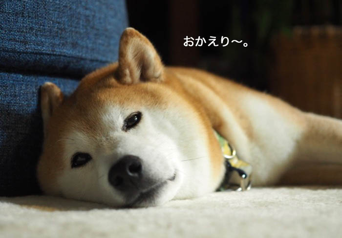 4日ブログ7