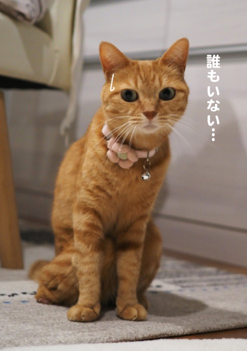 6日ブログ２