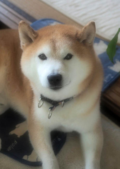 8日夕ブログ５