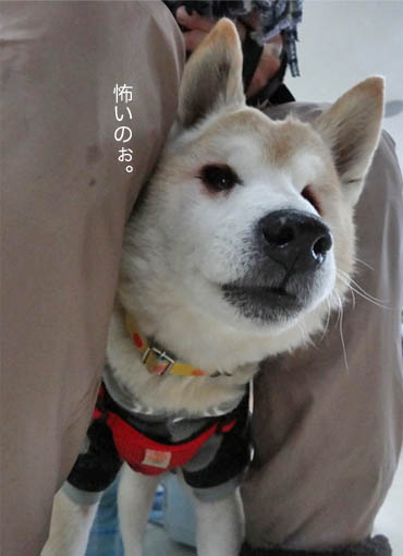 1日ブログ５.jpg
