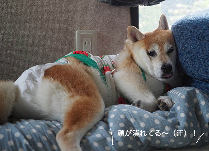25日ブログ１
