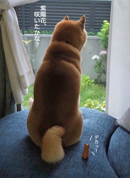 8日夜ブログ５
