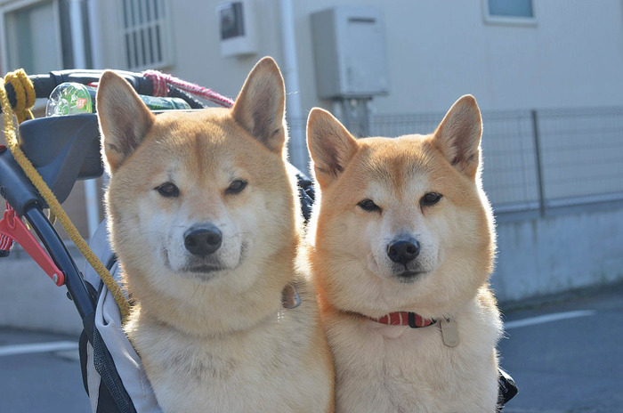 26日ブログ3