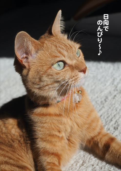 7日夜ブログ2