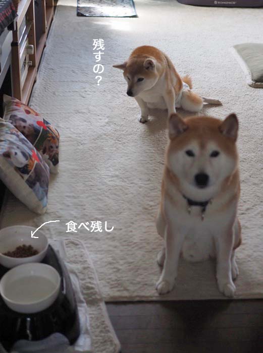 22日夜ブログ３