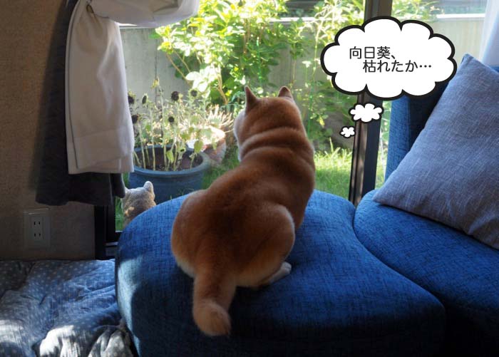 29日ブログ５