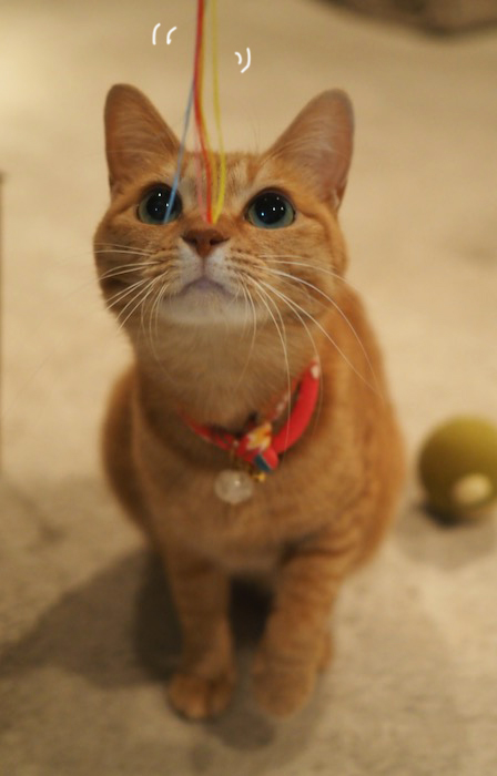 11日夕ブログ５jpg