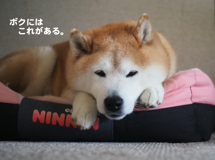 20日夕ブログ６