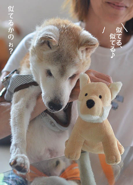 25日ブログ4