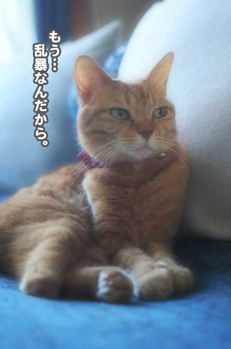26日夕ブログ10