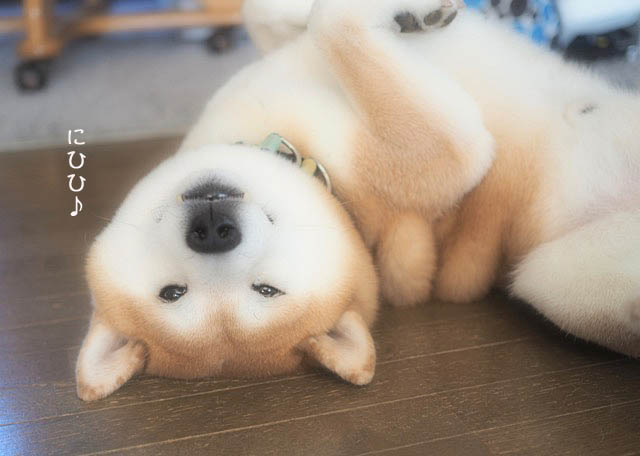 3日ブログ9