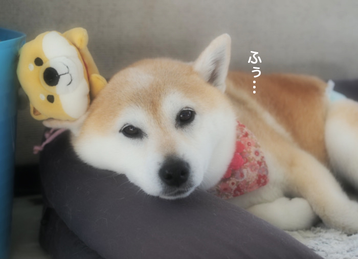 7日ブログ１０