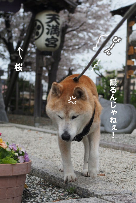 15日ブログ４