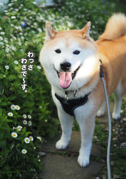 17日夜ブログ３