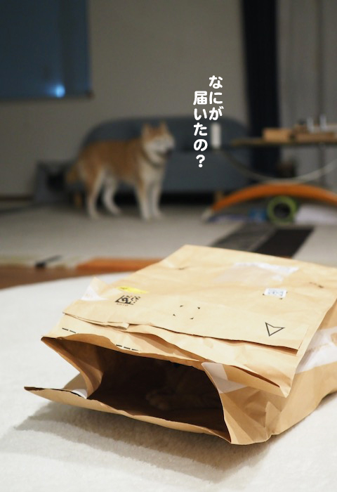 25日夕ブログ２