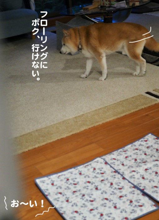 2日夕ブログ６