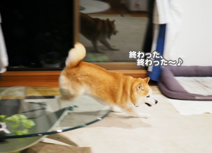 15日夕ブログ８