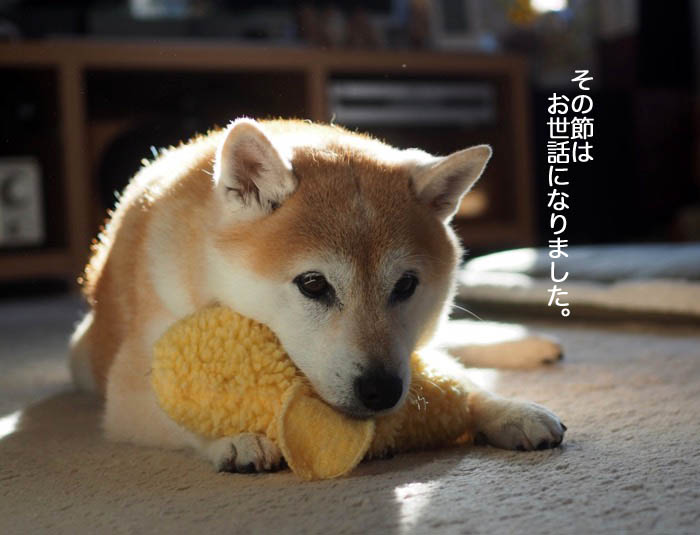 1日夜ブログ９