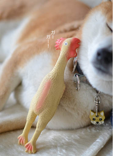 16日ブログ４.jpg