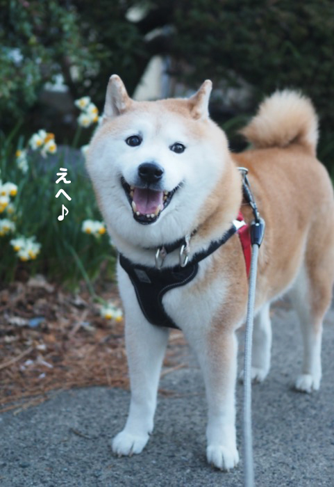 18日夕ブログ３