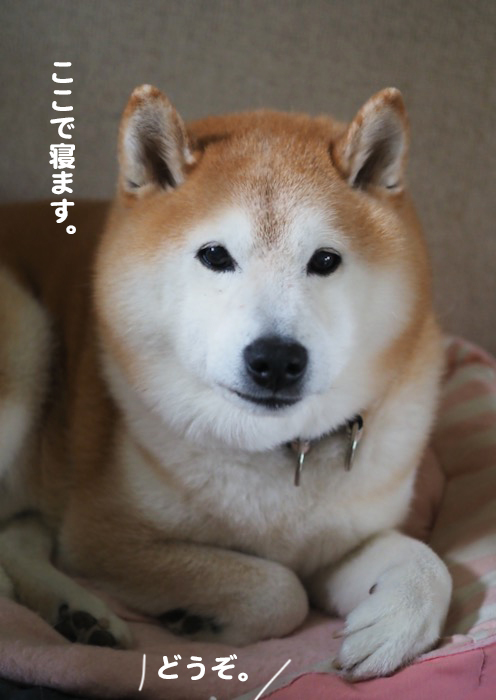13日ブログ5