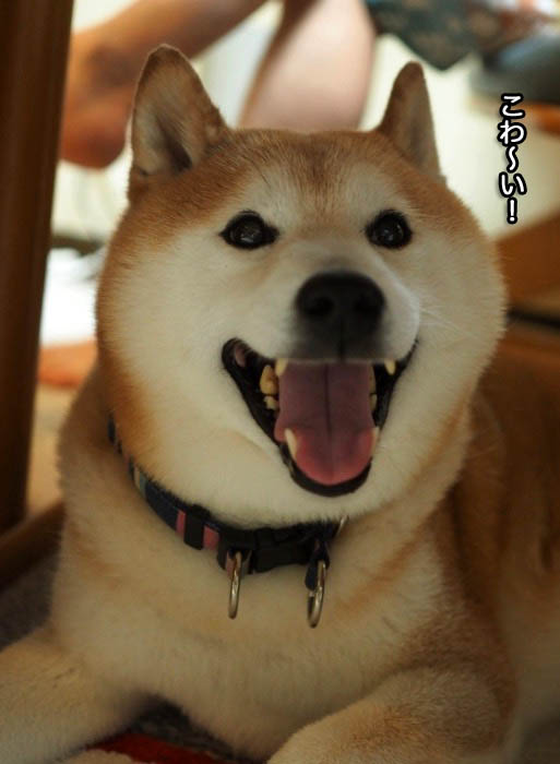 24日夕ブログ１０