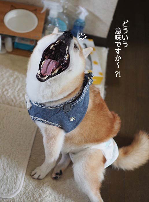 8日朝ブログ２