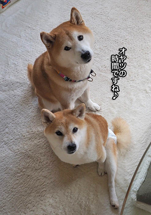 11日ブログ２