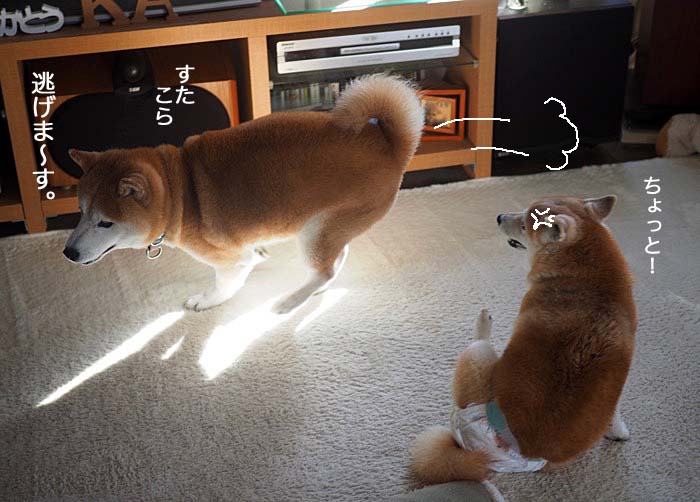 30日夕ブログ１２