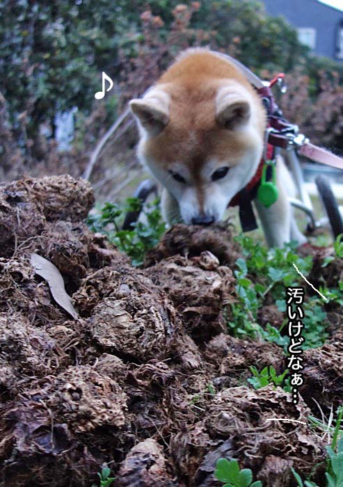 9日午後ブログ３