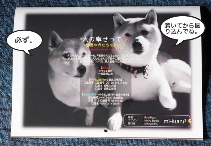 3日夕ブログ６
