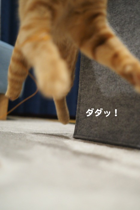 20日夕ブログ５