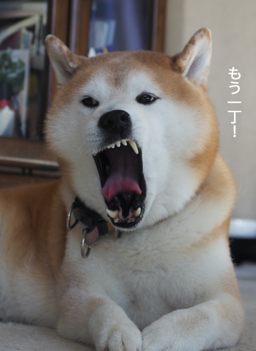 29日夜ブログ５
