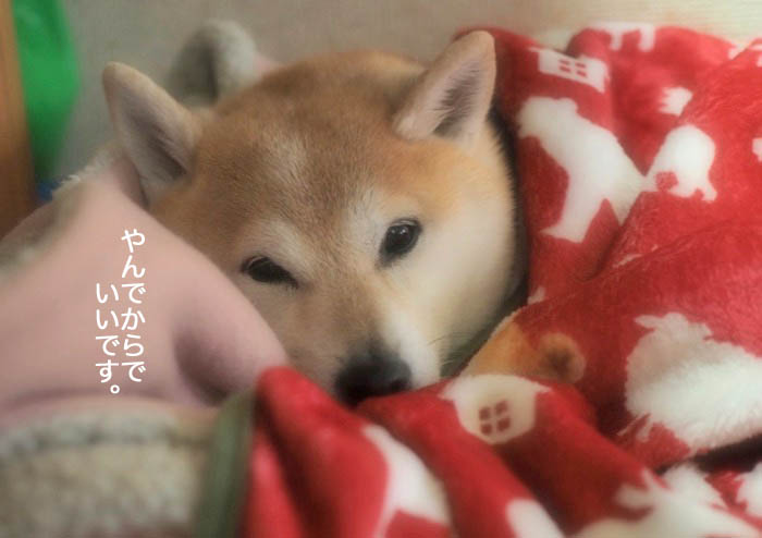 8日ブログ５