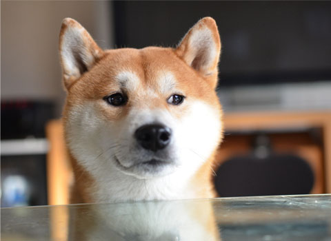 28日ブログ10.jpg