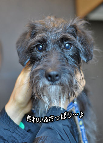 22日ブログ7.jpg